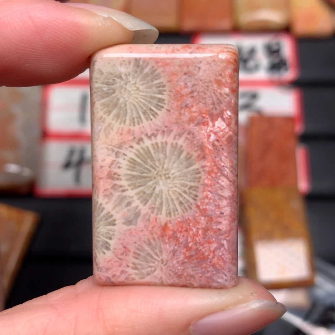 【闪购商品】硅化玉颈饰未镶嵌煒****w