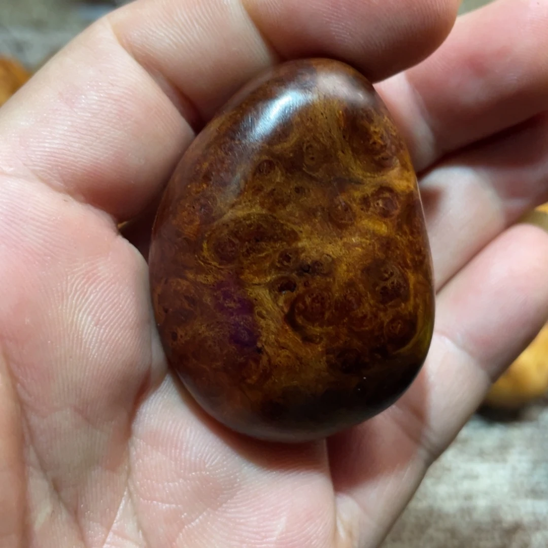 柏木（崖柏）其他蚂蚁腿