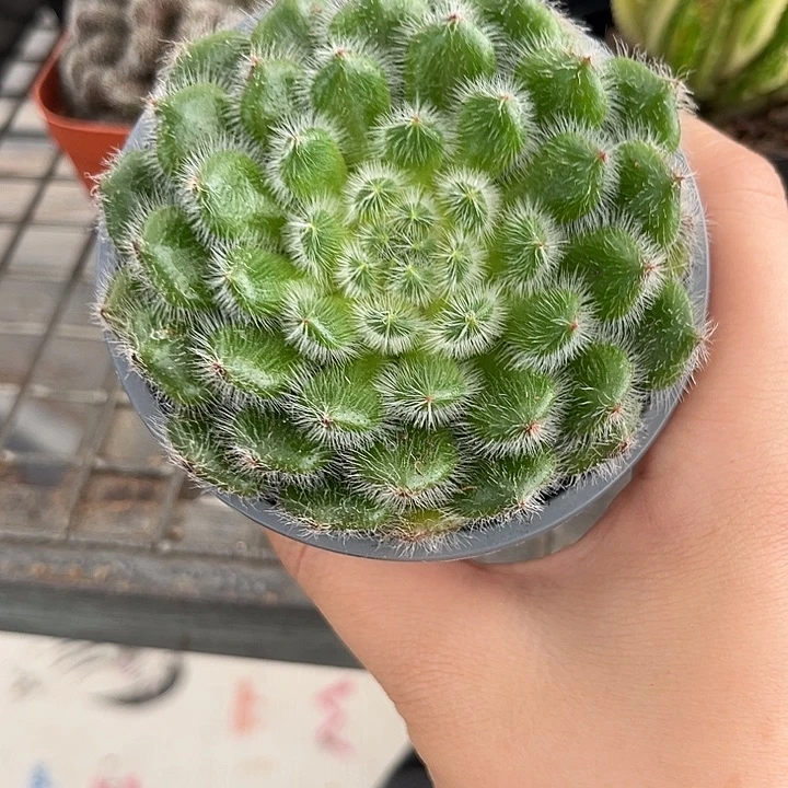 我也不知道我为什么要这样