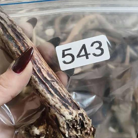 用***4鹿角鹿角鹿角鹿角鹿角鹿角@