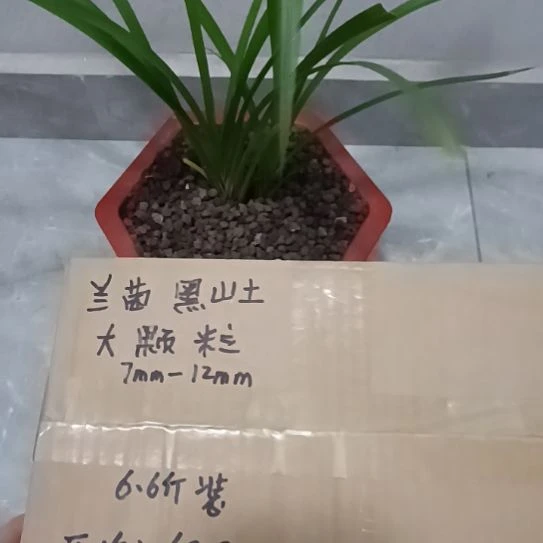 用***2兰菌黑山土大颗粒6.6斤