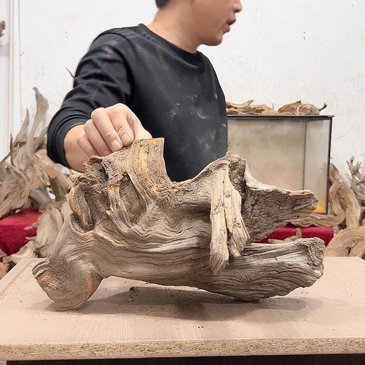 柏木大***柏我们都是好孩子呀我也