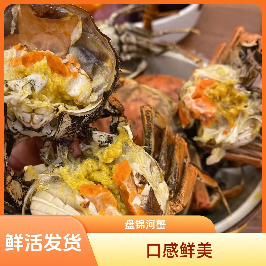 全母【活蟹】盘锦稻田河蟹1.4-1.6两/只 母蟹3斤20只左右 鲜活发货