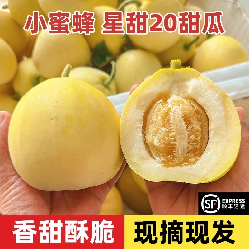 （顺丰包邮）正宗山东小蜜蜂甜瓜斤新鲜水果香瓜蜜罐奶香脆甜瓜