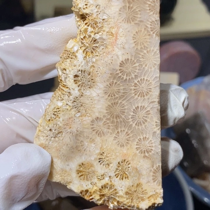 【闪购商品】未镶嵌珊瑚玉硅化玉
