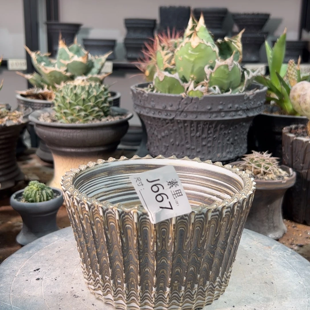 景德镇手工素里内口14.5高9