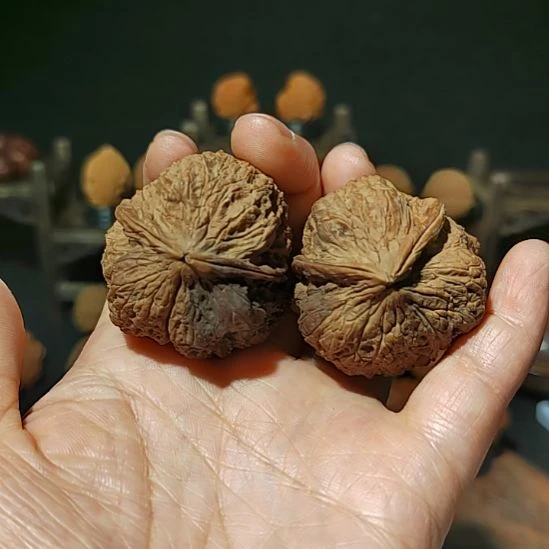 把件文玩核桃异型带彩41尺