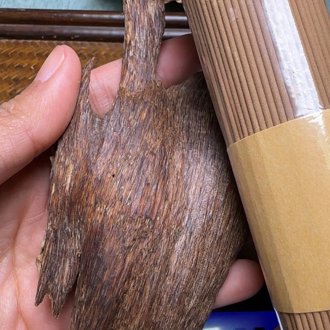 海南琼海虫漏22克重福利的