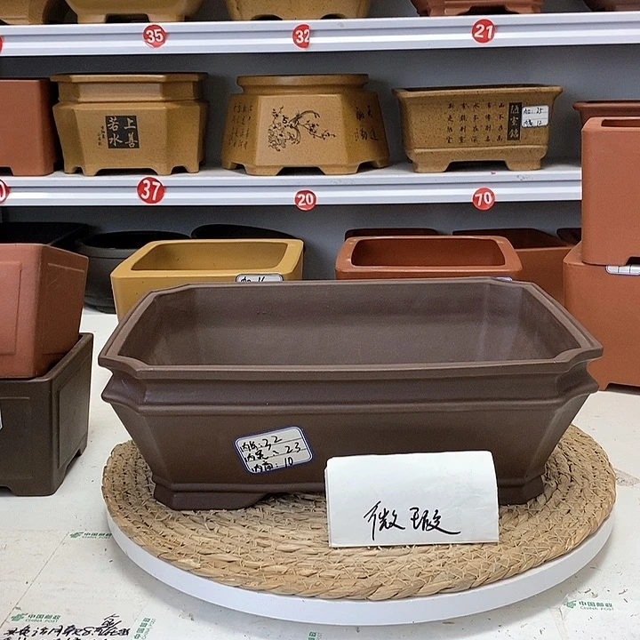 紫砂花盆今天下午