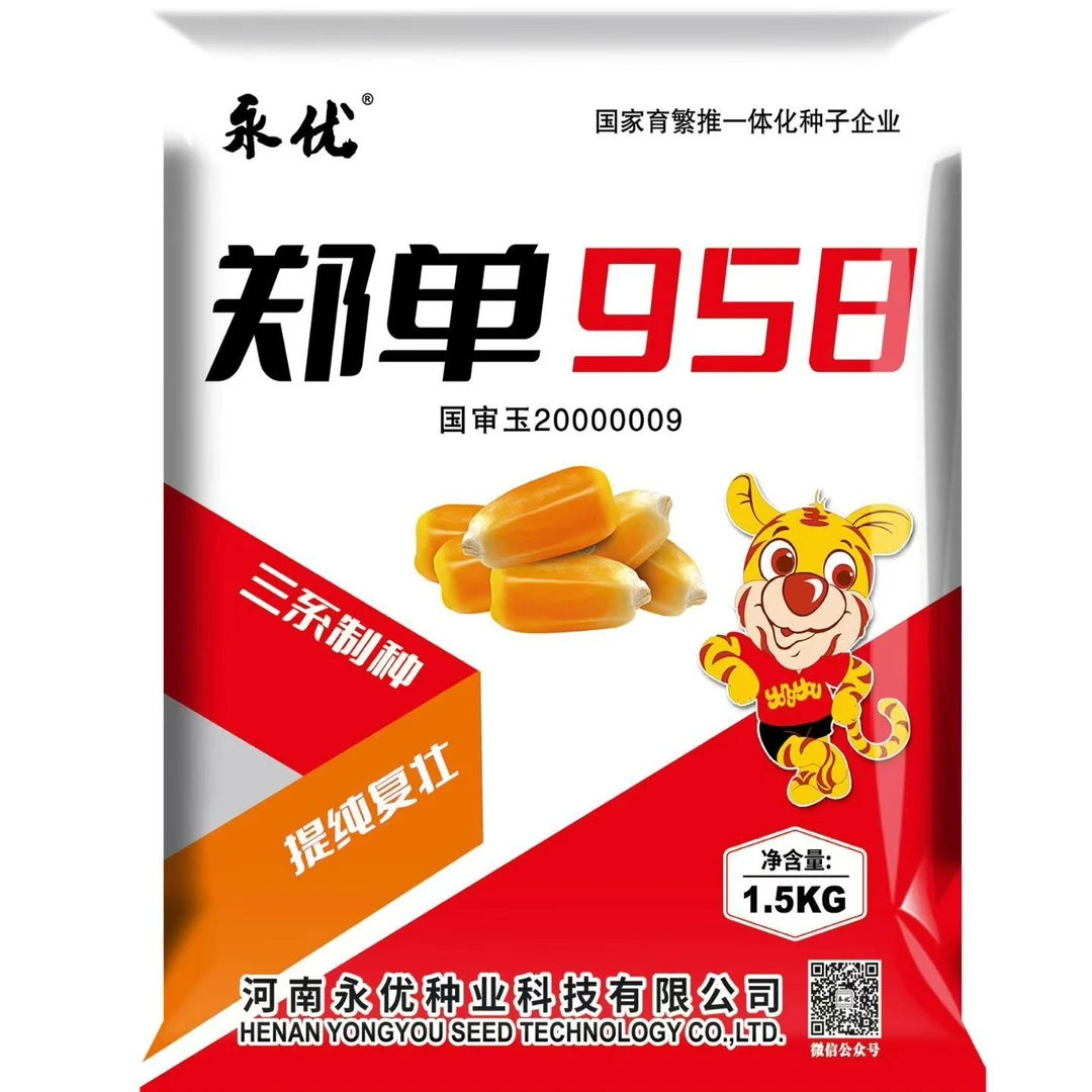 郑单958高产耐密优质玉米种
