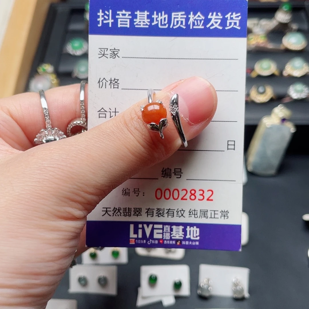 银S925镶嵌翡翠耳饰