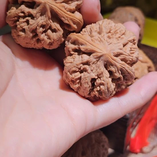 吊坠文玩核桃44粗筋