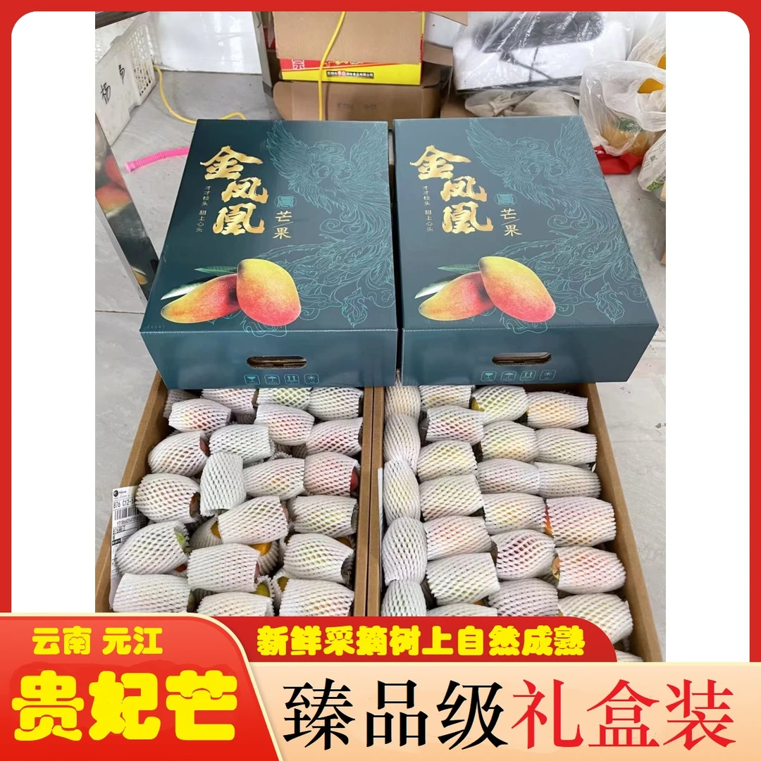 【礼盒装】云南元江贵妃芒果小金凤凰新鲜热带水果汁多肉厚产地直发