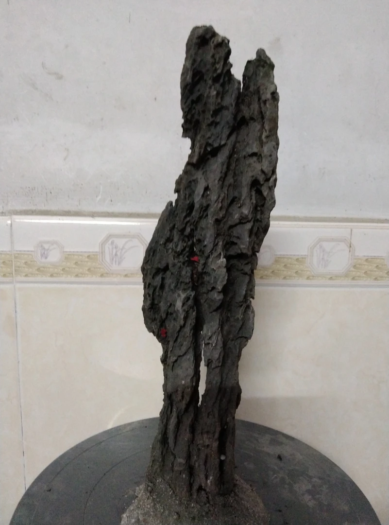 精品英石原石盆景石，高约35.