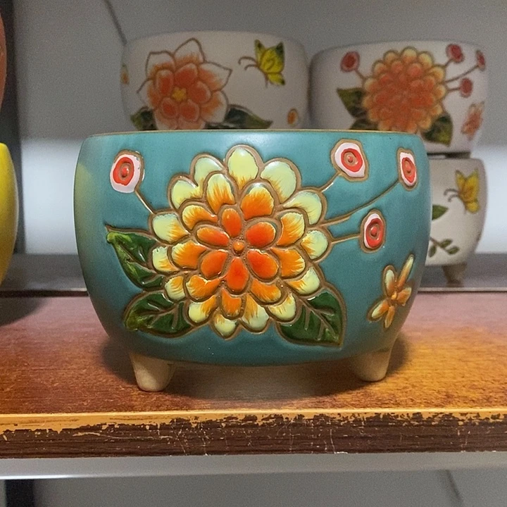 韩式多肉植物花盆