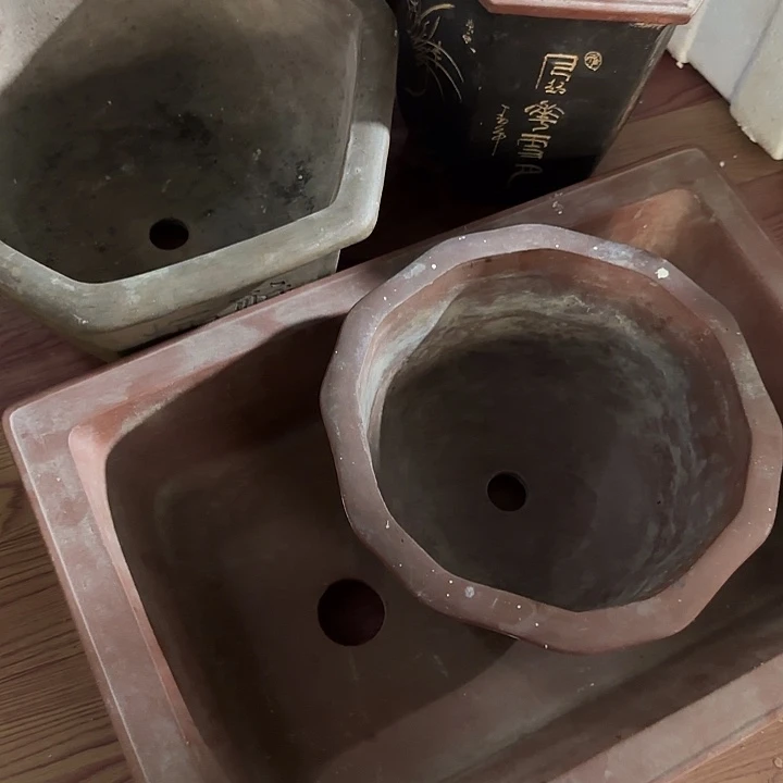 风***阻香榧木vhvbbbbbbbbbb