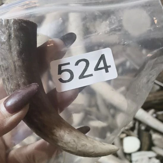 王***安鹿角鹿角鹿角鹿角鹿角鹿角