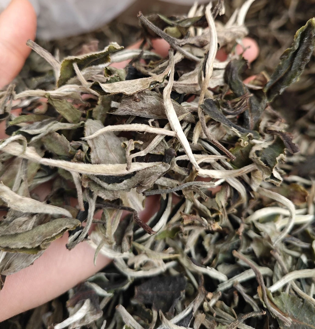 【3月6号】2024年昔归春尾白茶100克（饼）【006号，李留琴】