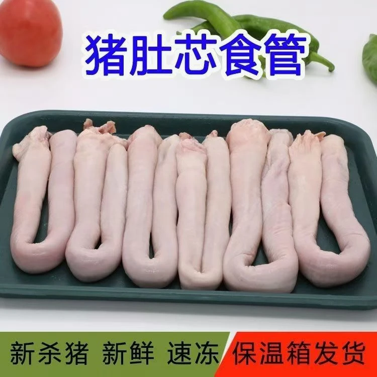 【顺丰包邮到手5斤左右15-18根】新鲜猪肚头红烧5斤饭店食材批发