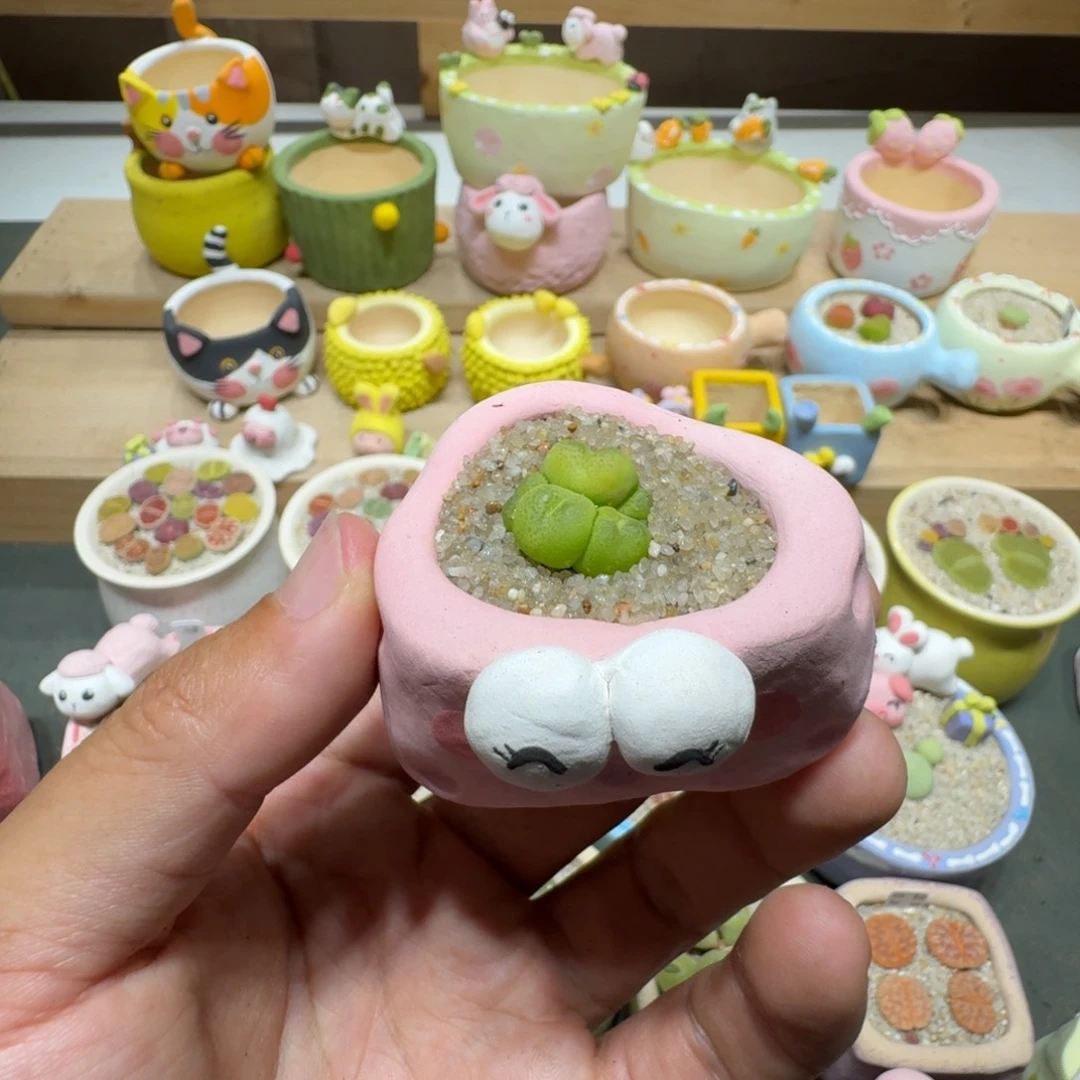 蘑菇239蟠桃蟠桃蟠桃