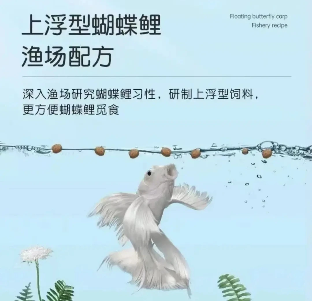 蝴蝶鲤观赏鱼专用鱼饲料高蛋白增色增体发鳍上浮通用鱼粮渔场自用