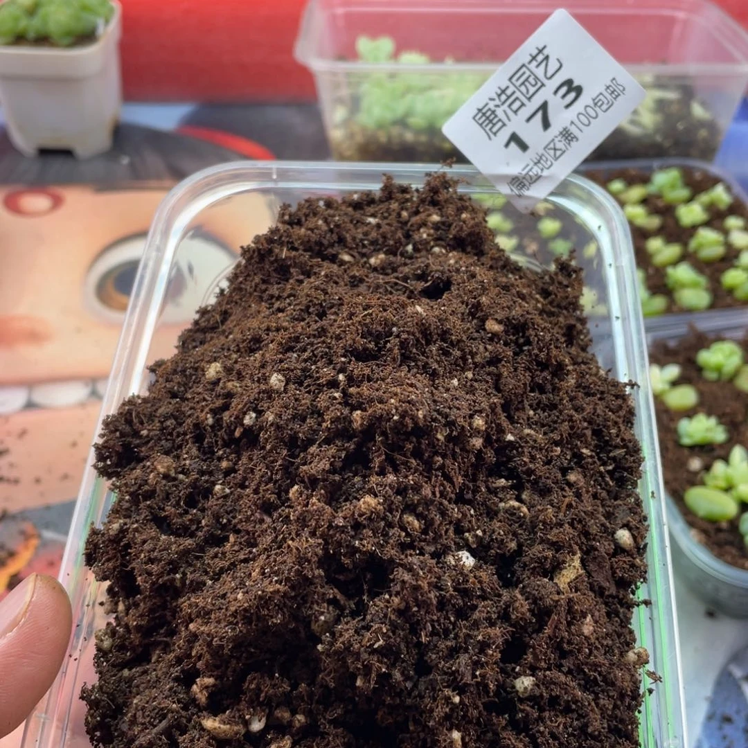 多肉植物土到手4斤173.