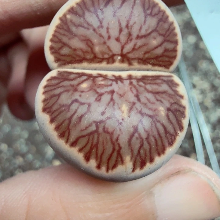 你说什么我没时间949好