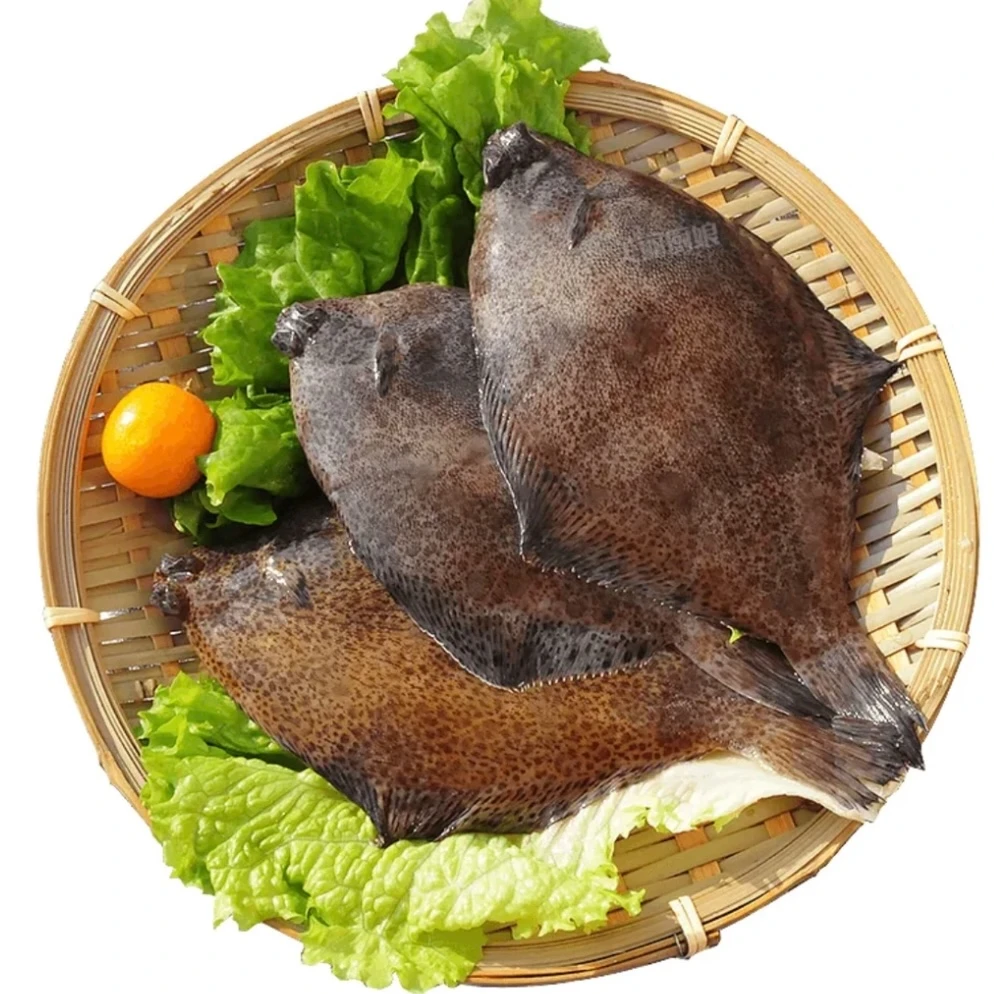 【青岛一脚泥合作社】鼓眼鱼（大号） 3斤 极速锁鲜速冻发货