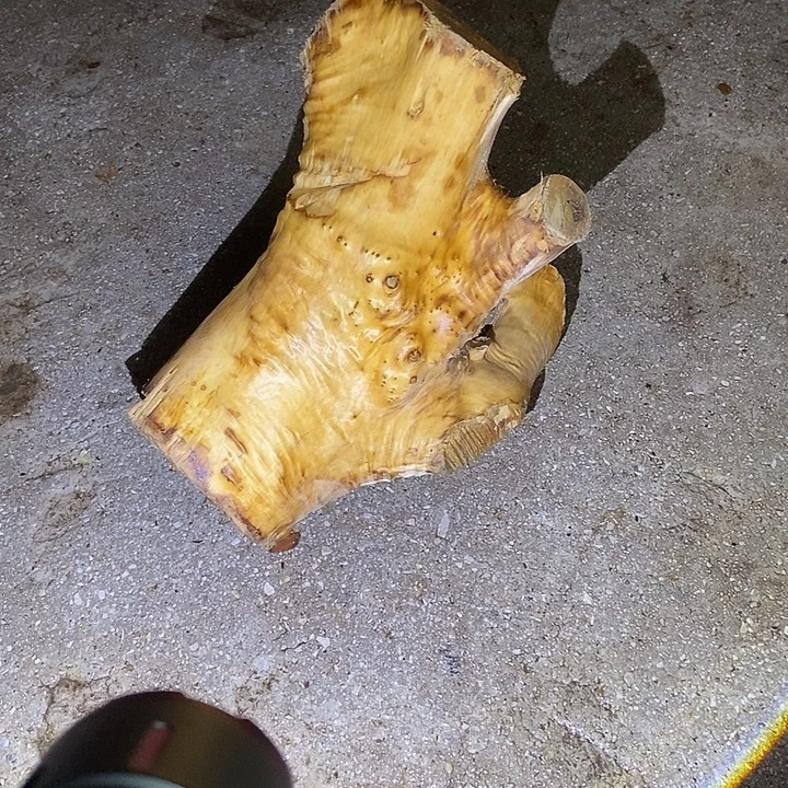 *****其他楠木（金丝楠）