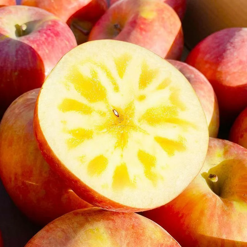 【京东送到家】新疆阿克苏冰糖心苹果红富士脆甜整箱9.5斤~10斤装