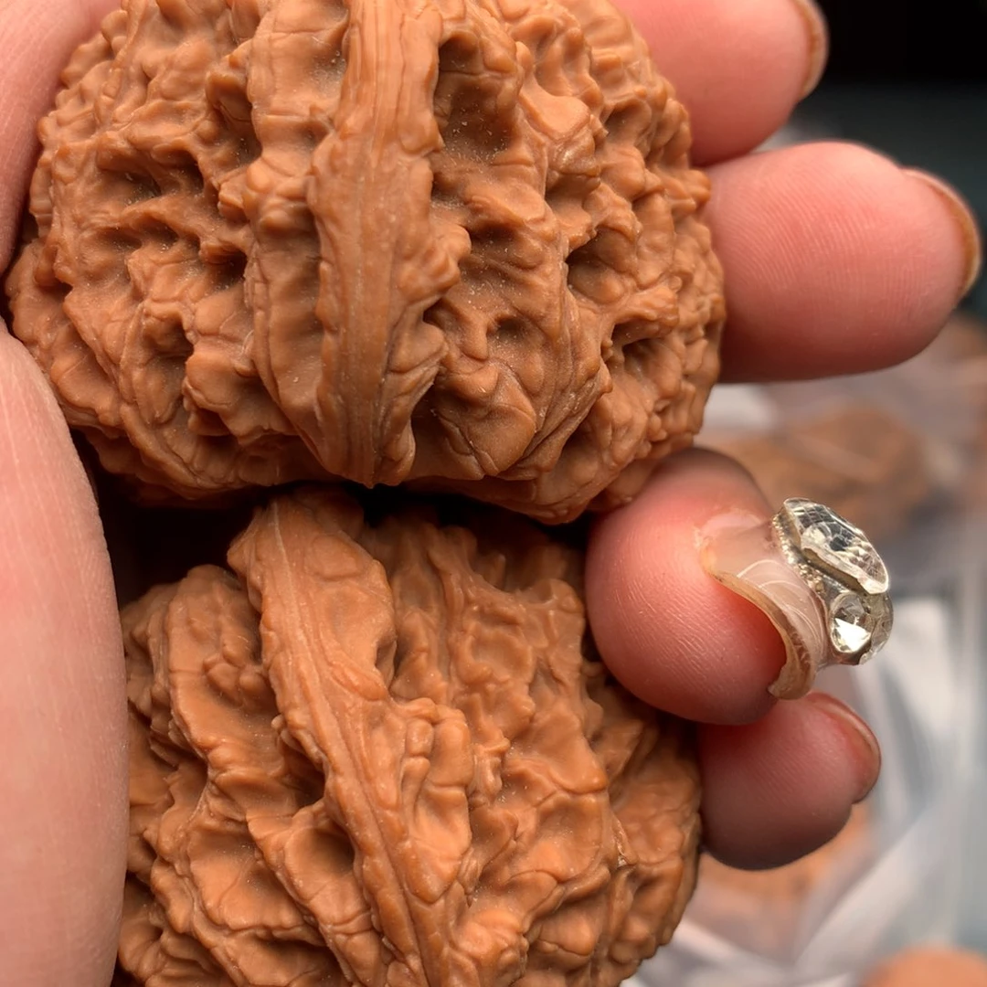 文玩核桃把件松*园南疆76