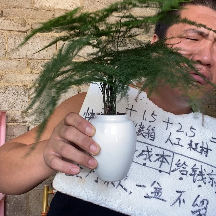 退款拉黑一物一拍31