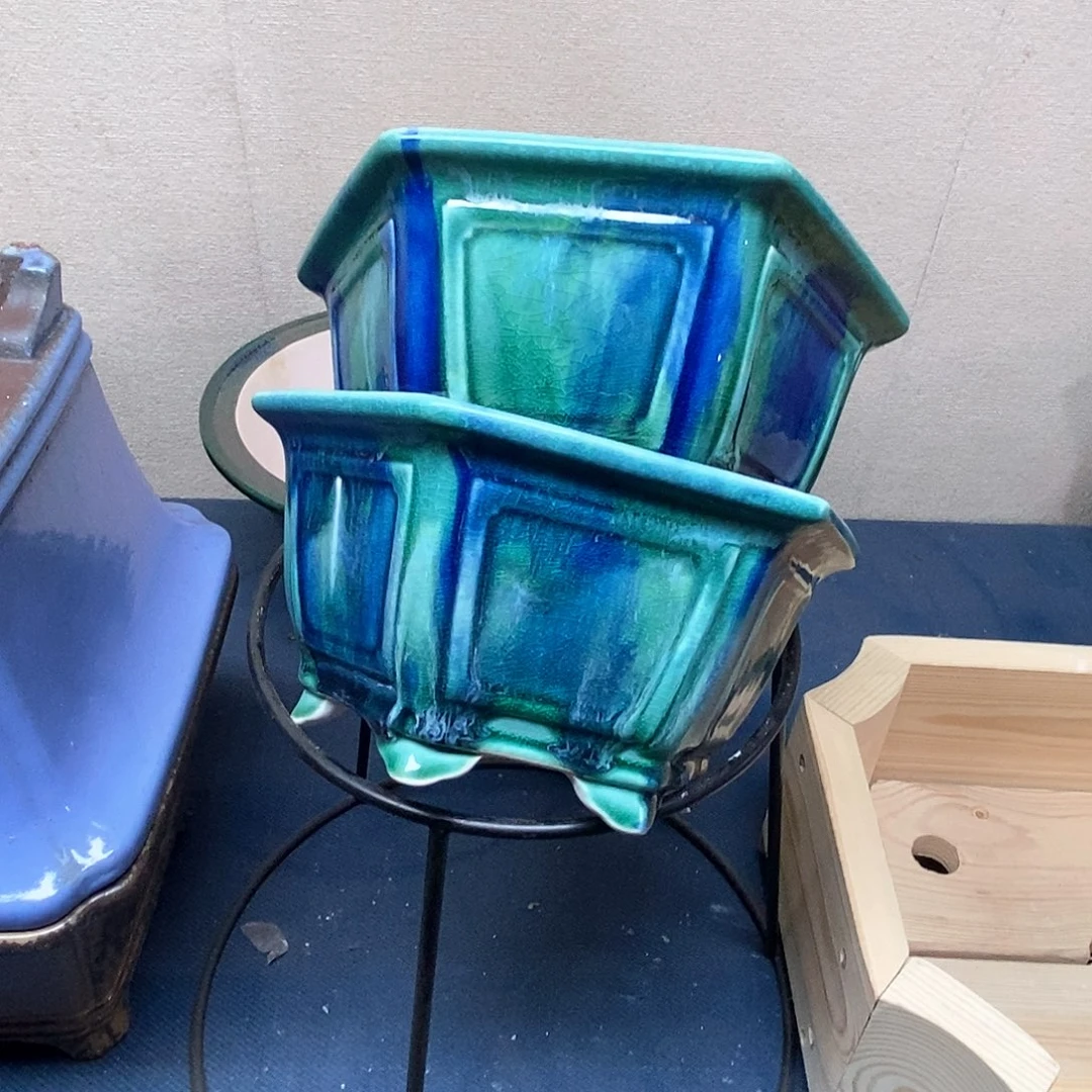 盆景19x10包邮到家为*