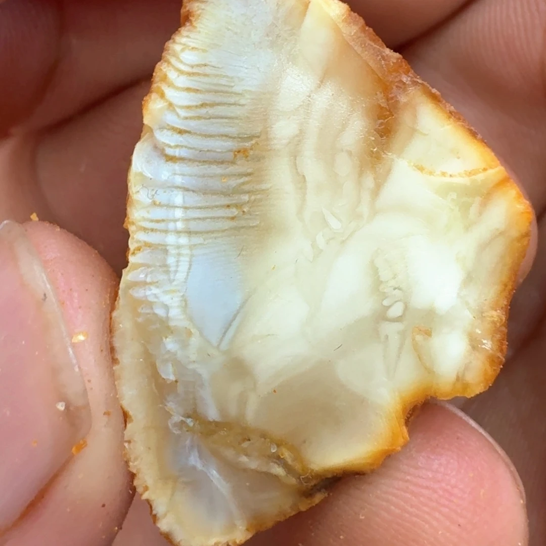 定制琥珀未镶嵌随*专拍