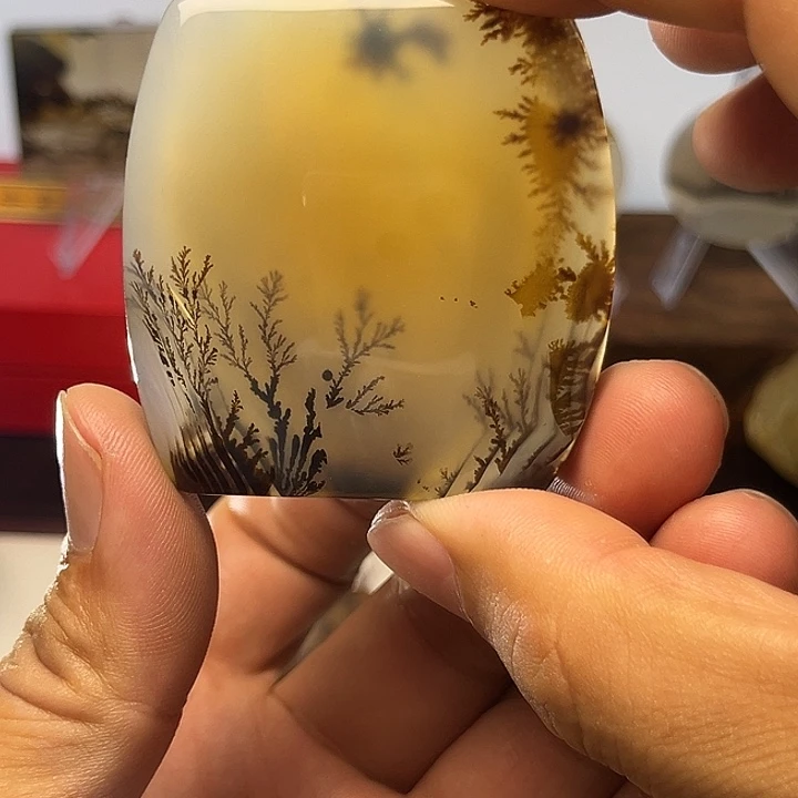 未镶嵌吊坠(不含链)玛瑙/玉髓