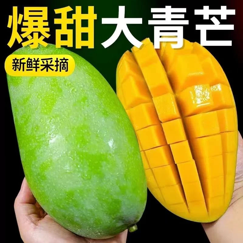 正宗云南大青芒产地现摘现发爆甜多汁带箱5斤