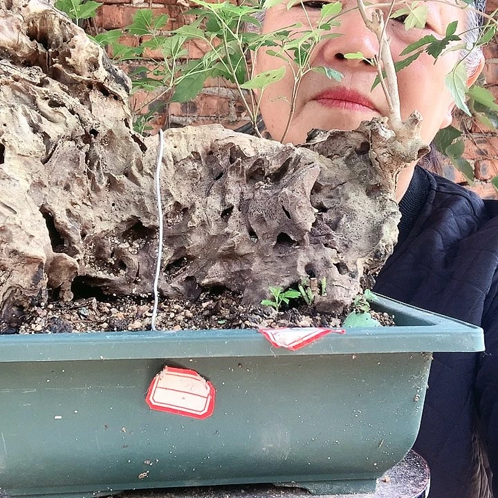 【闪购商品】完全开放