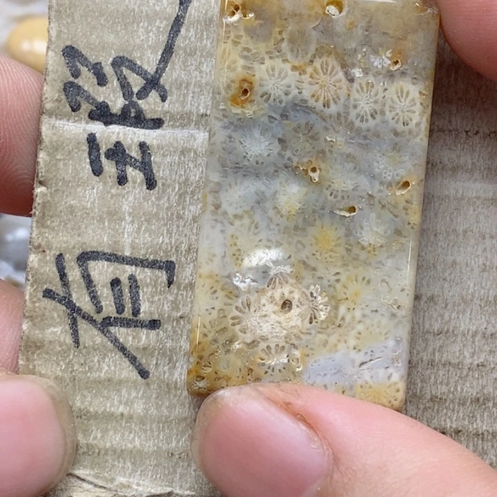 颈饰未镶嵌硅化珊瑚（珊瑚玉）s*浪