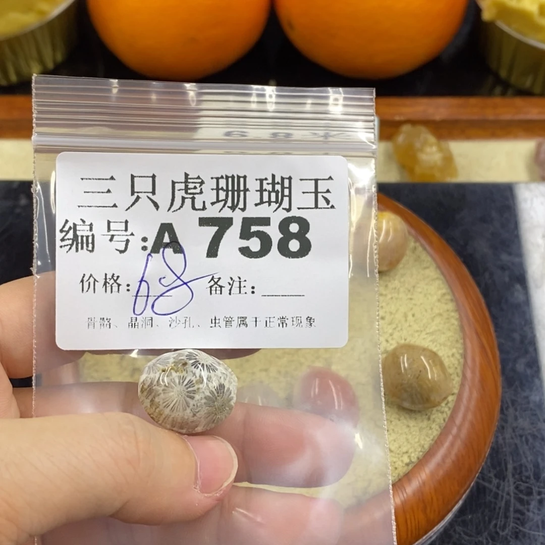 硅化珊瑚（珊瑚玉）1未镶嵌紫**林