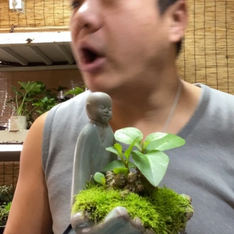 红陶小**汁一物一拍所见即所得103