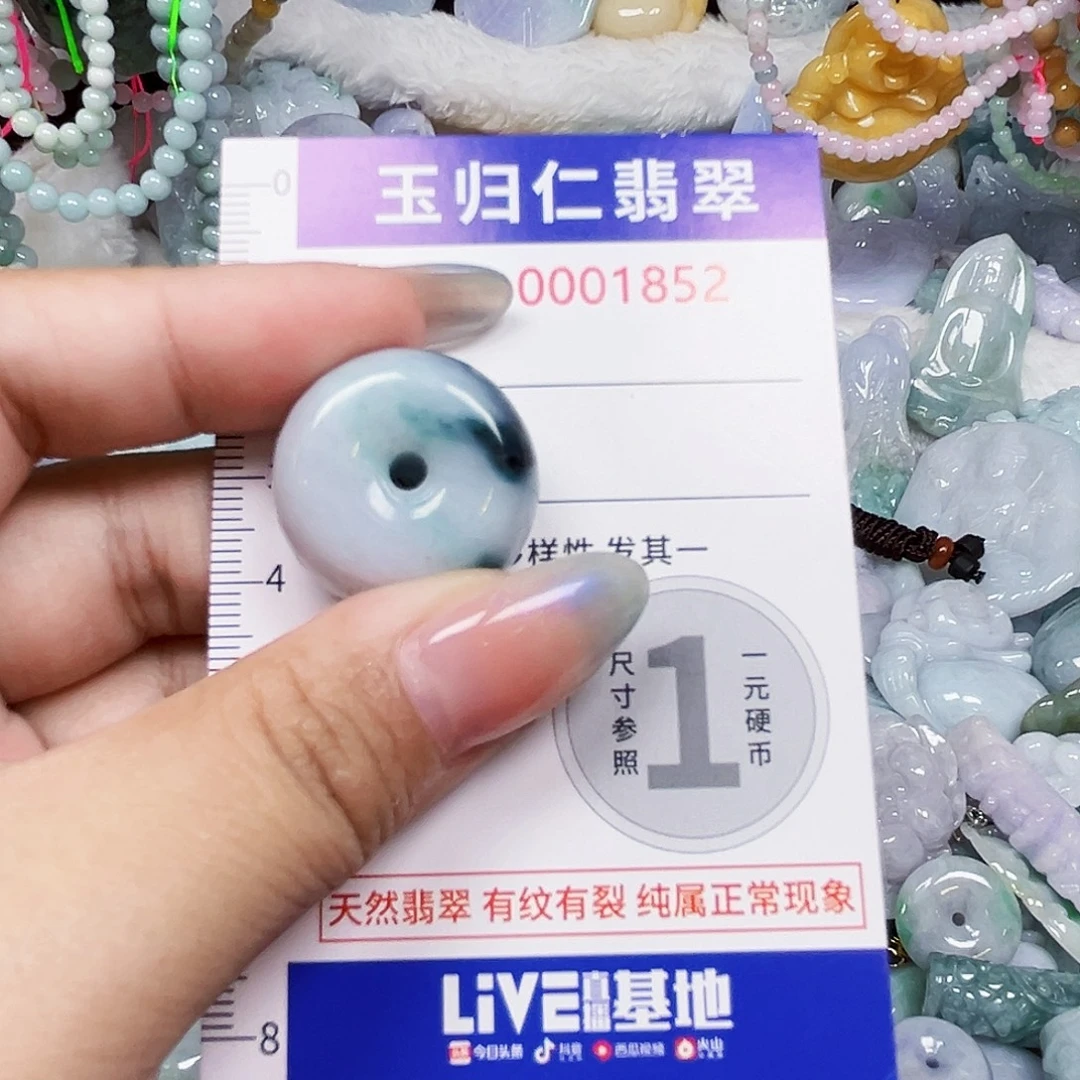 翡翠未镶嵌颈饰1111