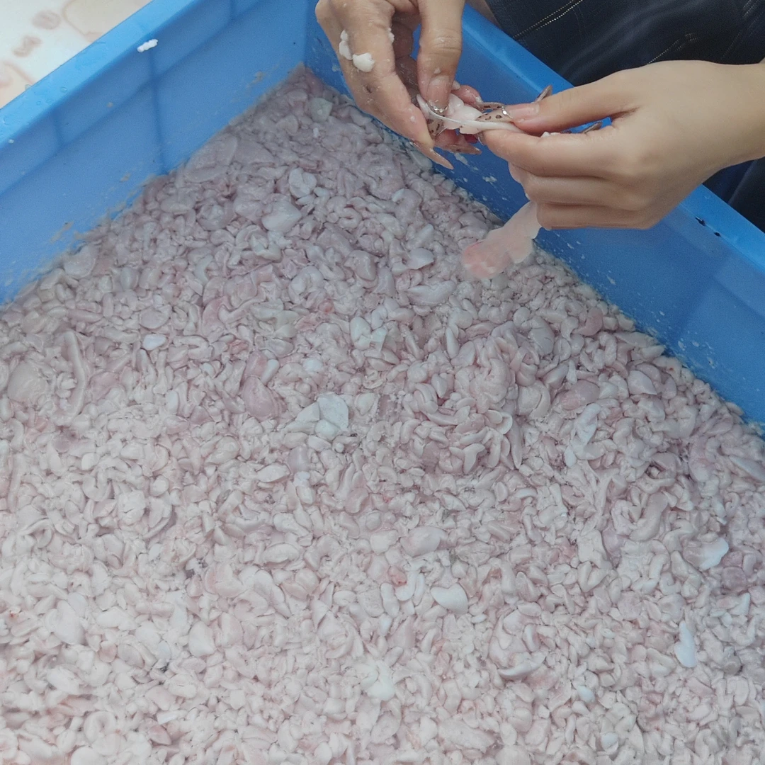 大王鳝药用3斤一斤空4两不支持7天无理由