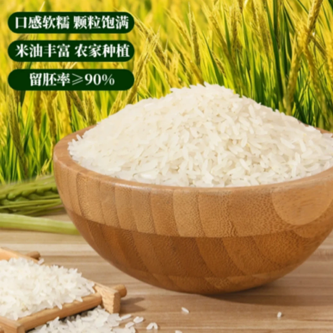 重庆高山农家胚芽米野香优米饭香味足新鲜