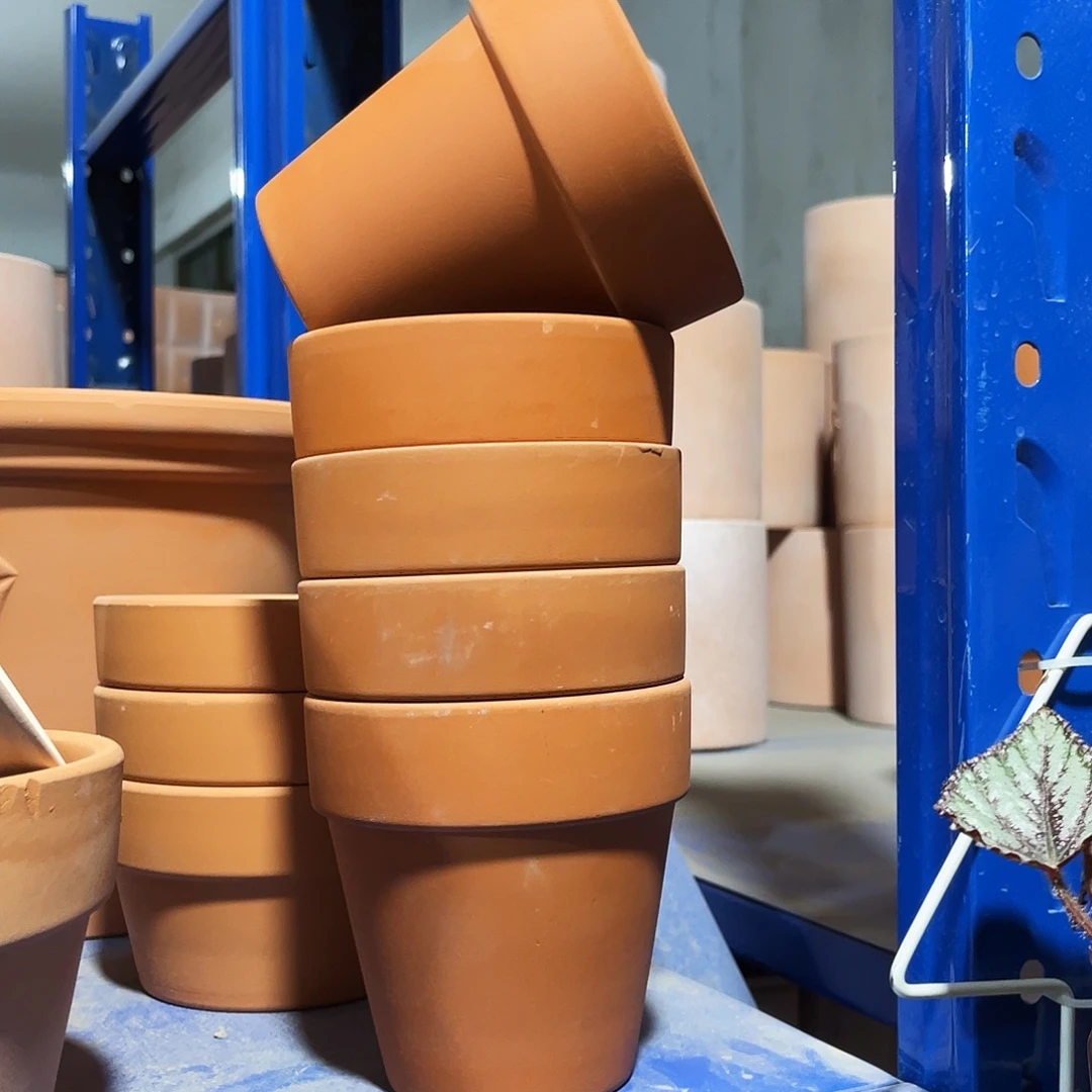 口10×10        发5