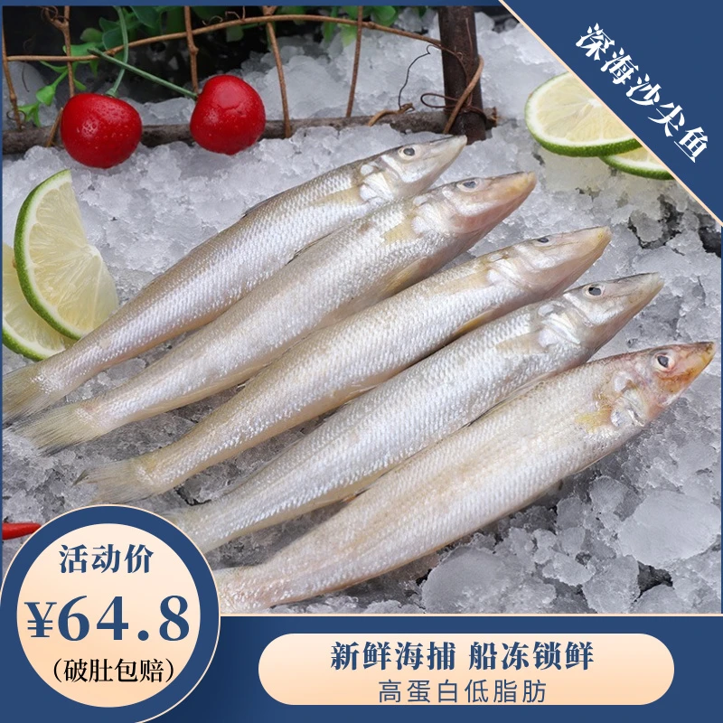 高品质大规格黄沙尖沙丁鱼梭子金沙尖鱼鲜嫩低脂高蛋白美味