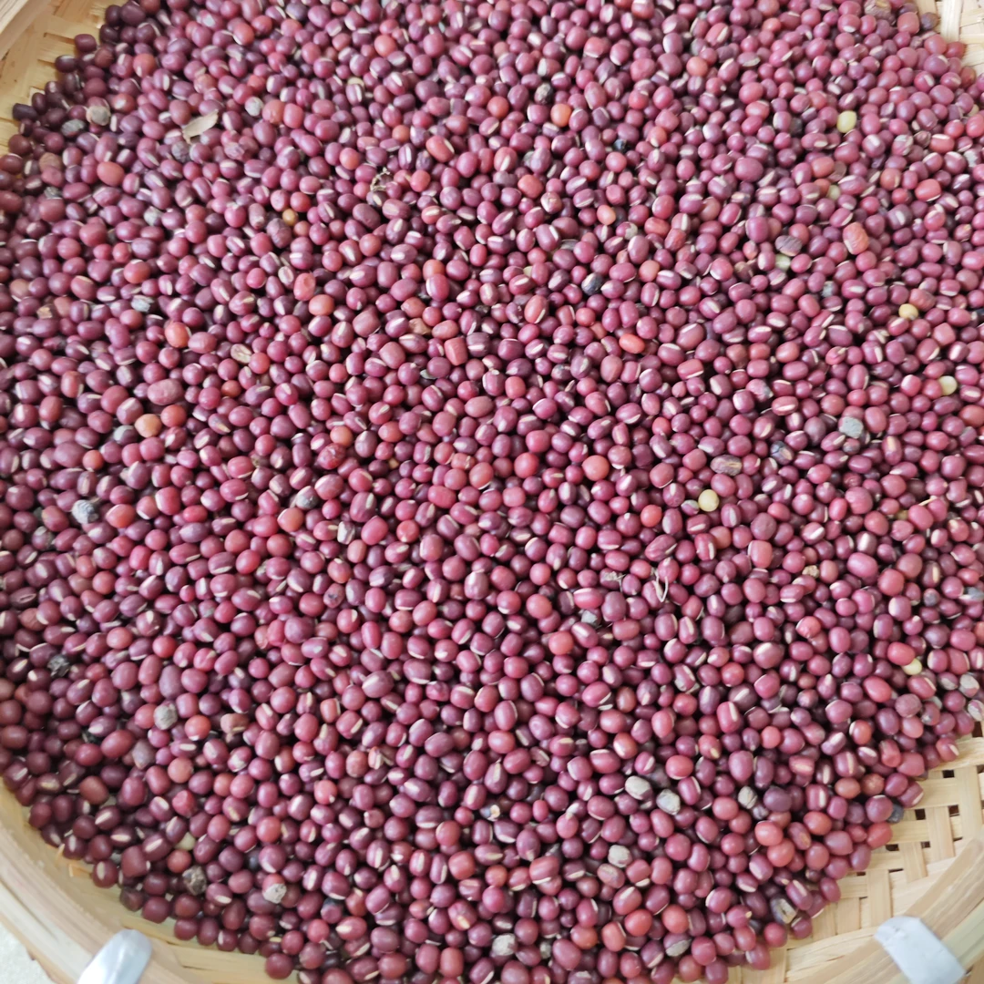 【代买山货】小红豆