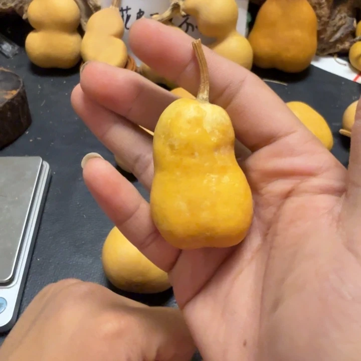 星***星888……………………………………