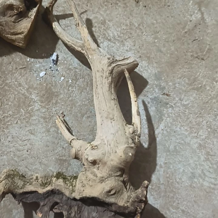 柏木（崖柏）崖柏小坨子手把件