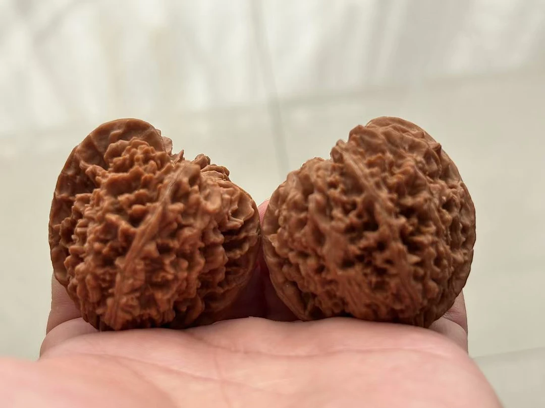 全品天残满天星核桃 41+