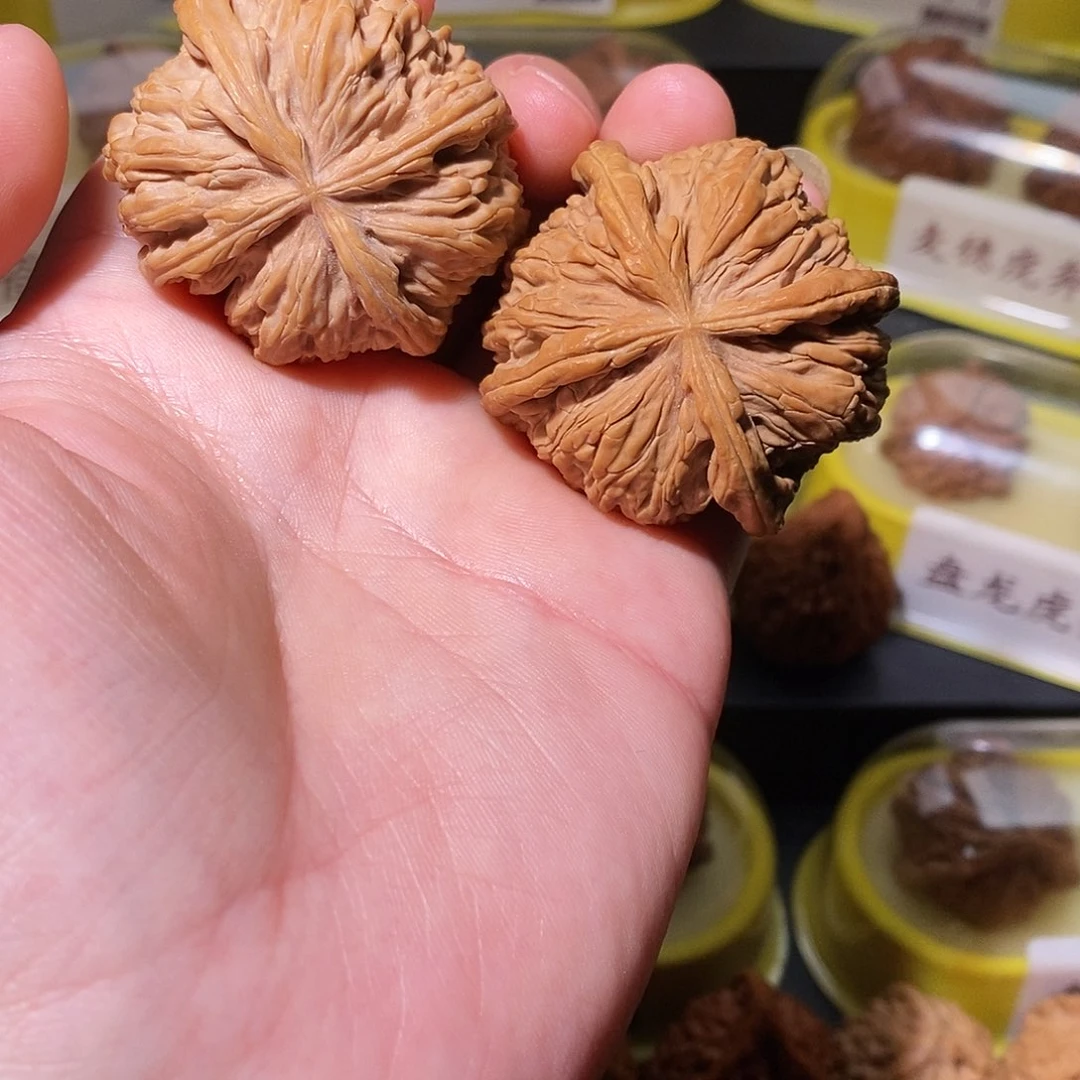 文玩核桃把件46白狮子x 战警